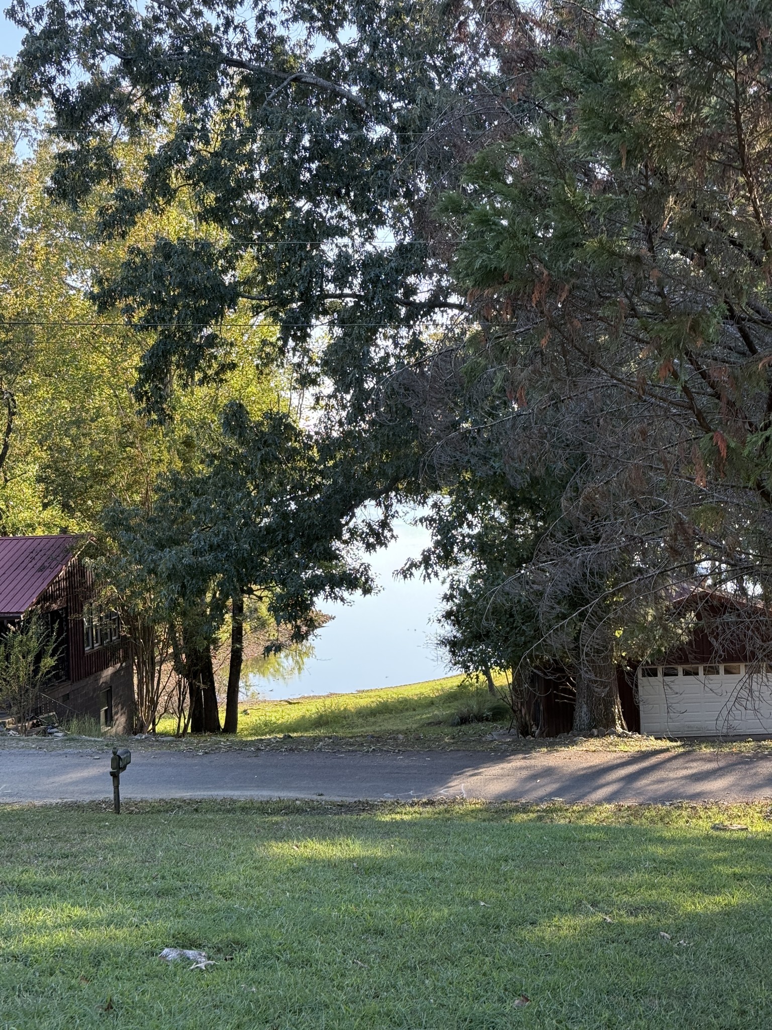 a view of yard with green space and trees