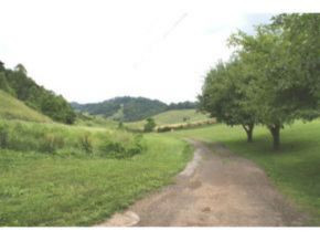 14482 Rich Valley Road Abingdon, VA 24210 - Photo 4 of 7 Photo 4