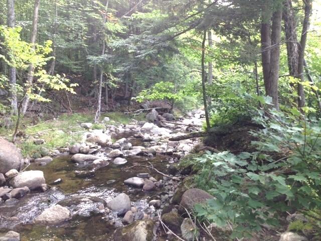 M6-l11 Basin Road Carthage, ME 04224 - Photo 21 of 24 7 Mile Brook