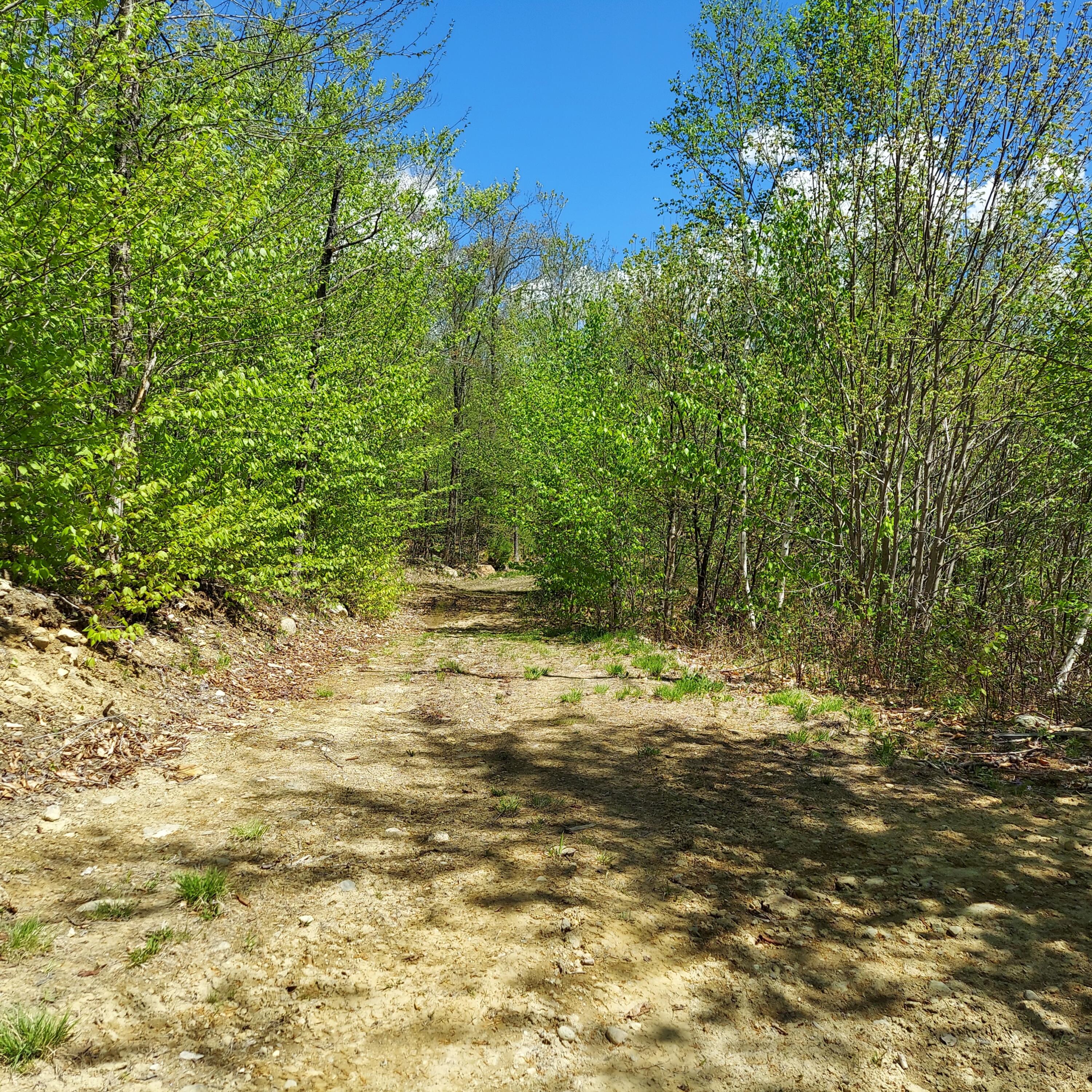 M6-l11 Basin Road Carthage, ME 04224 - Photo 23 of 24 20220514_115444