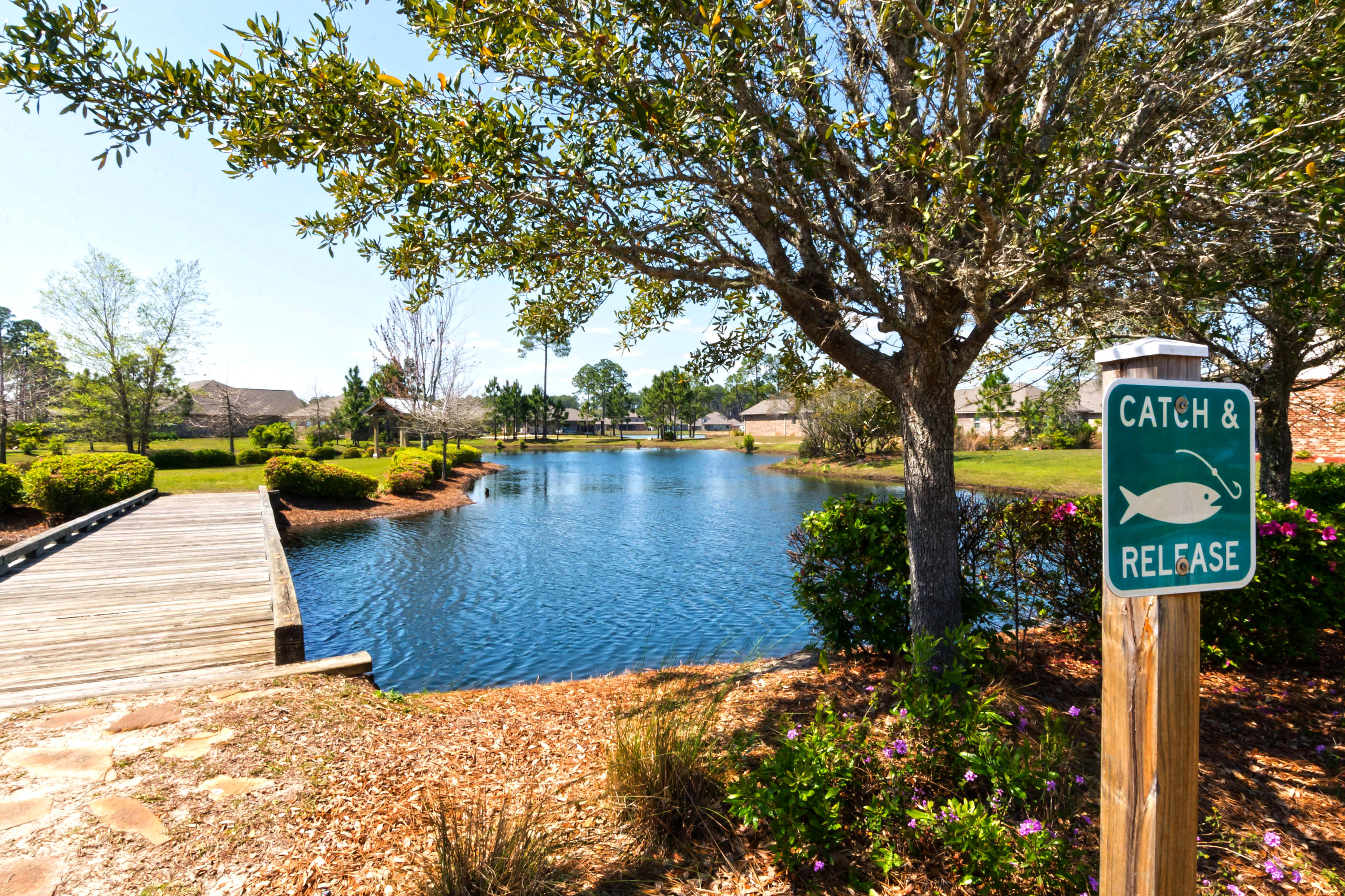 70 Riverbirch Loop Santa Rosa Beach, FL 32459 - Photo 37 of 45 a view of a park with large trees