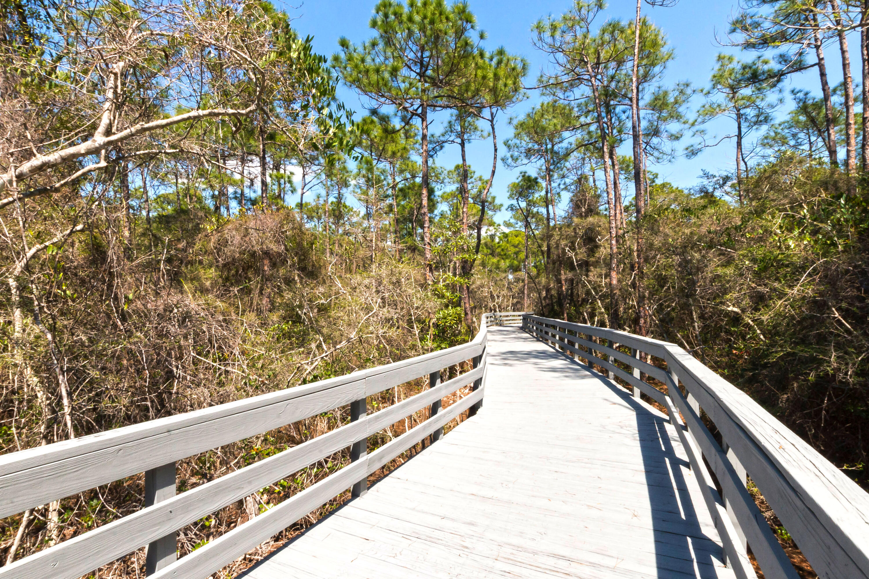 70 Riverbirch Loop Santa Rosa Beach, FL 32459 - Photo 40 of 45 a view of balcony with wooden floor