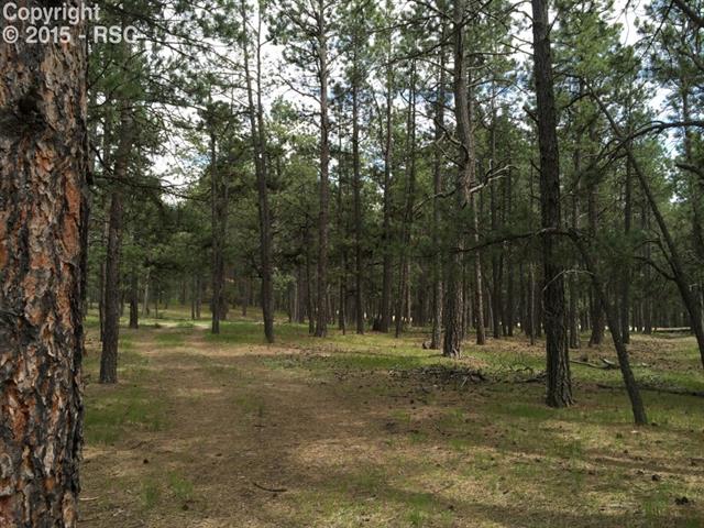 Hardy Road Colorado Springs, CO 80908 - Photo 3 of 8 Gallery Image 3