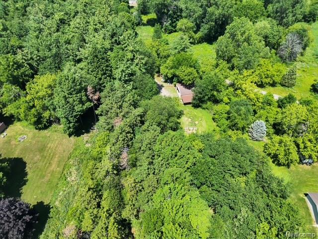 5361 Clark Road Bath, MI 48808 - Photo 58 of 62 DJI_20260713141816_0011_V.JPEG