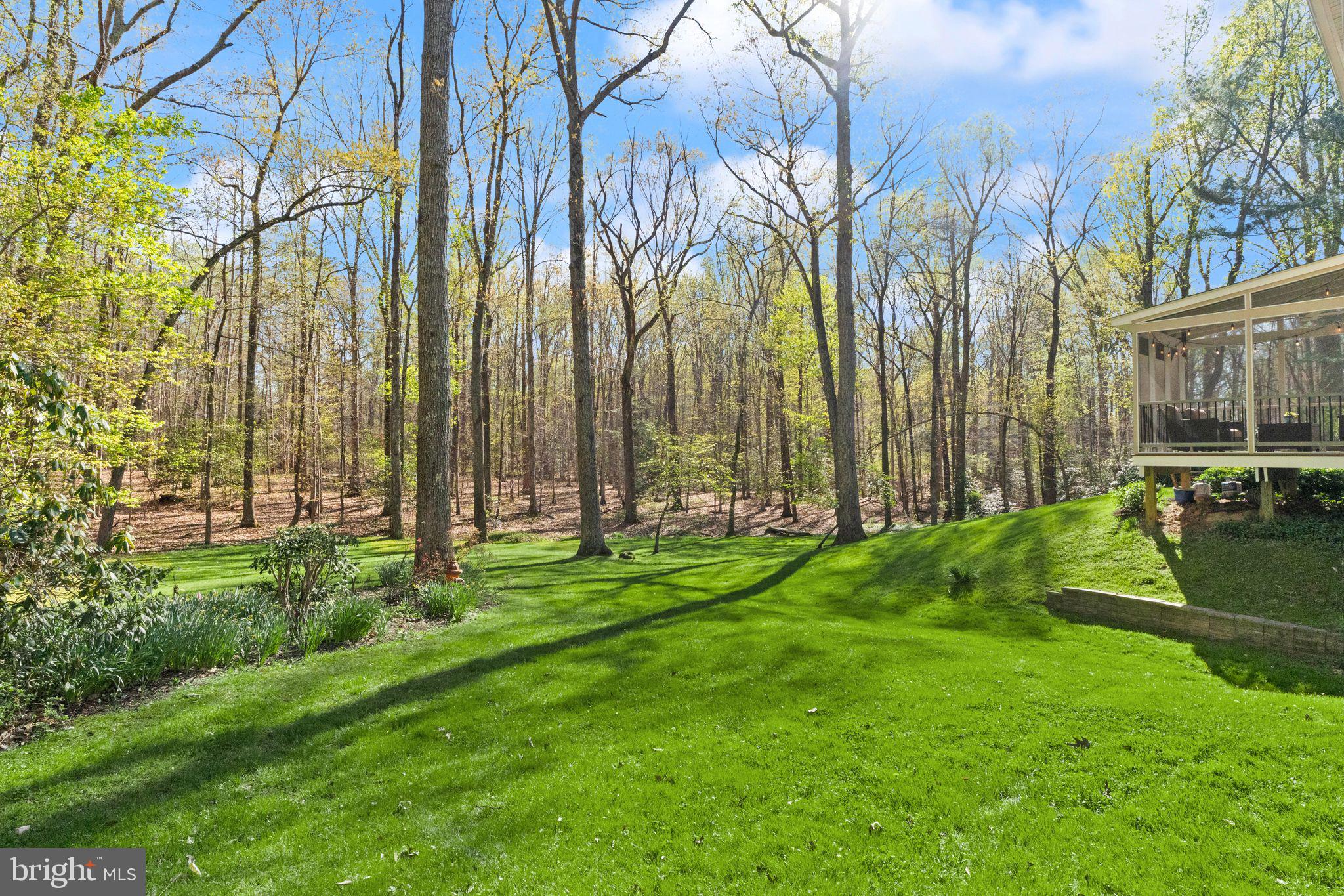8019 Stillbrooke Road Manassas, VA 20112 - Photo 64 of 80 Private, quiet, and room to play!