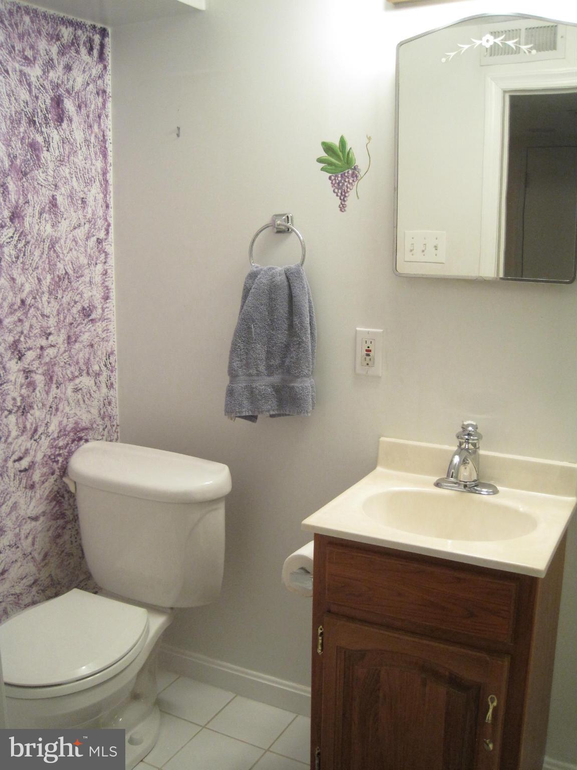 8326 Wyton Road Baltimore, MD 21286 - Photo 29 of 30 Bath