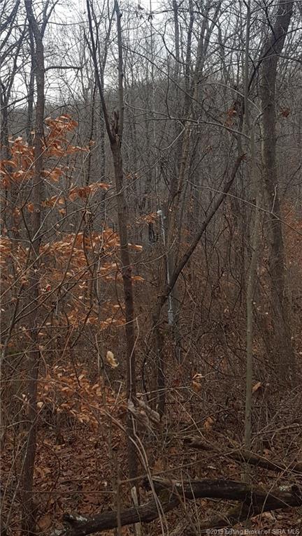 Mt Sterling Road East English, IN 47118 - Photo 2 of 6 Gallery Image 2