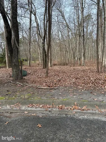 a backyard of a house with large trees and a wooden fence