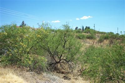 417 Camino Canoa Rio Rico, AZ 85648 - Photo 1 of 3