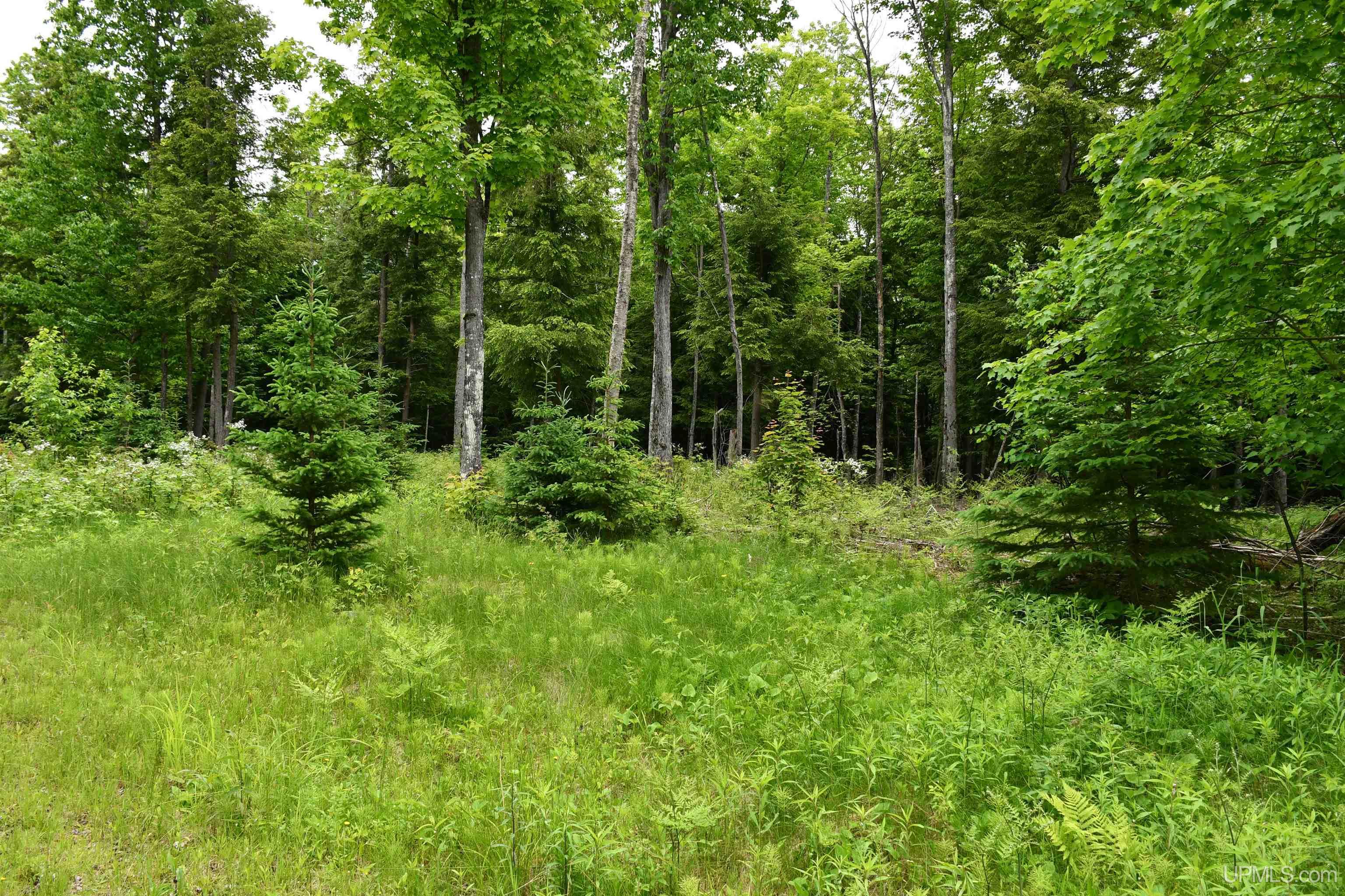 18310 Skanee Road Lanse, MI 49946 - Photo 63 of 71 Gallery Image 63