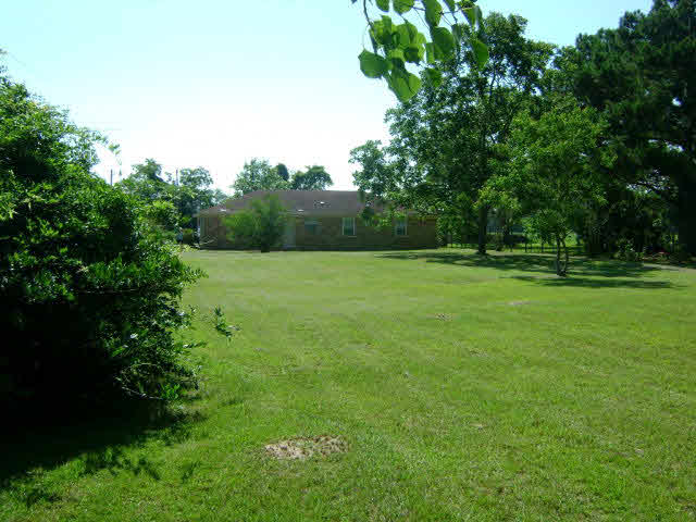 15716 Carver Road Foley, AL 36535 - Photo 24 of 26 Back yard 2