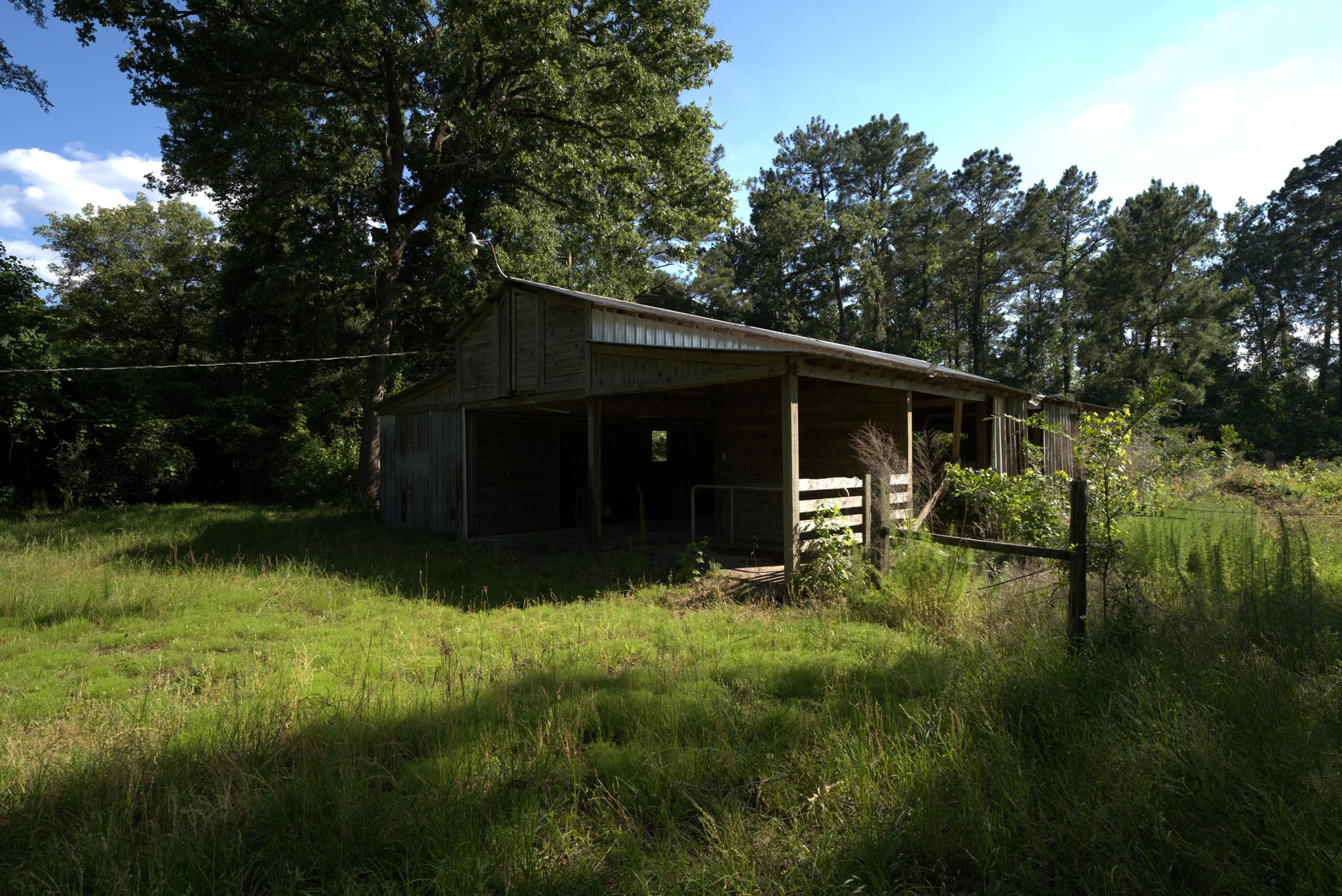 3309 Honea Egypt Road Montgomery, TX 77316 - Photo 30 of 40