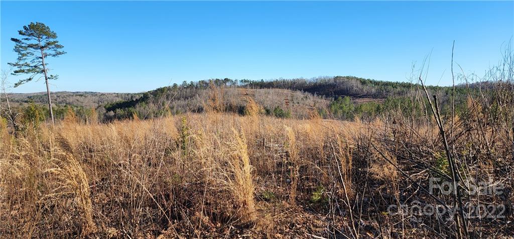 157 Moss Road Rutherfordton, NC 28139 - Photo 29 of 36 a view of lake with green space