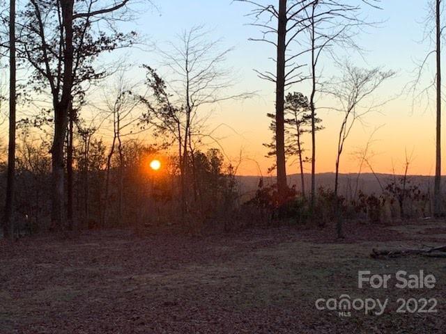 157 Moss Road Rutherfordton, NC 28139 - Photo 9 of 36 a view of outdoor space