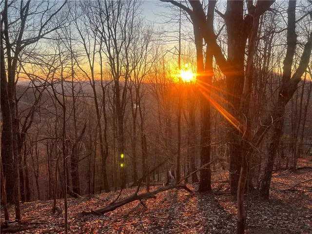 $9,999 | 3394 Bella Vista Trail, Jasper, GA 30143