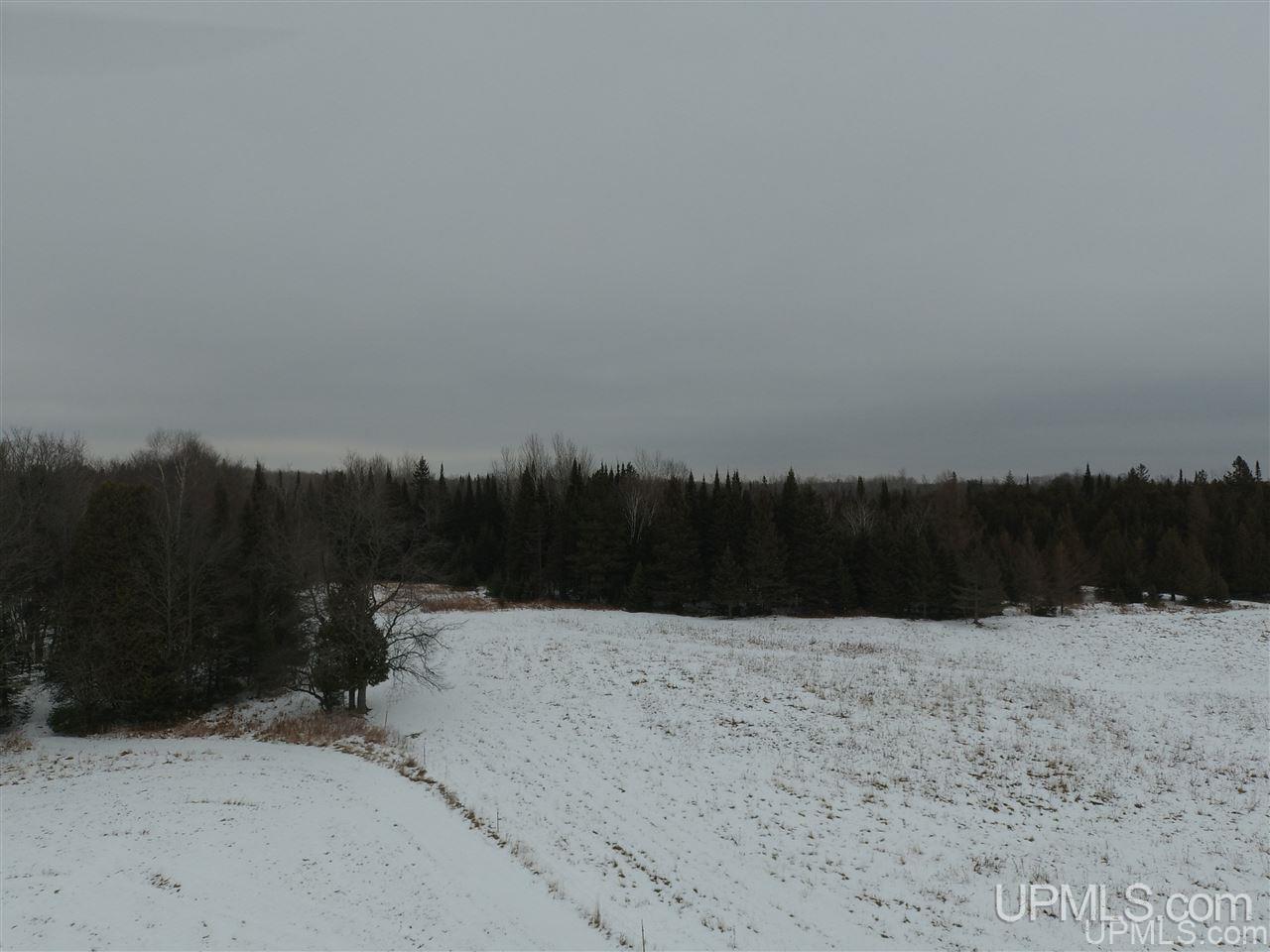 Tbd Winters/savola Road Trenary, MI 49891 - Photo 15 of 19
