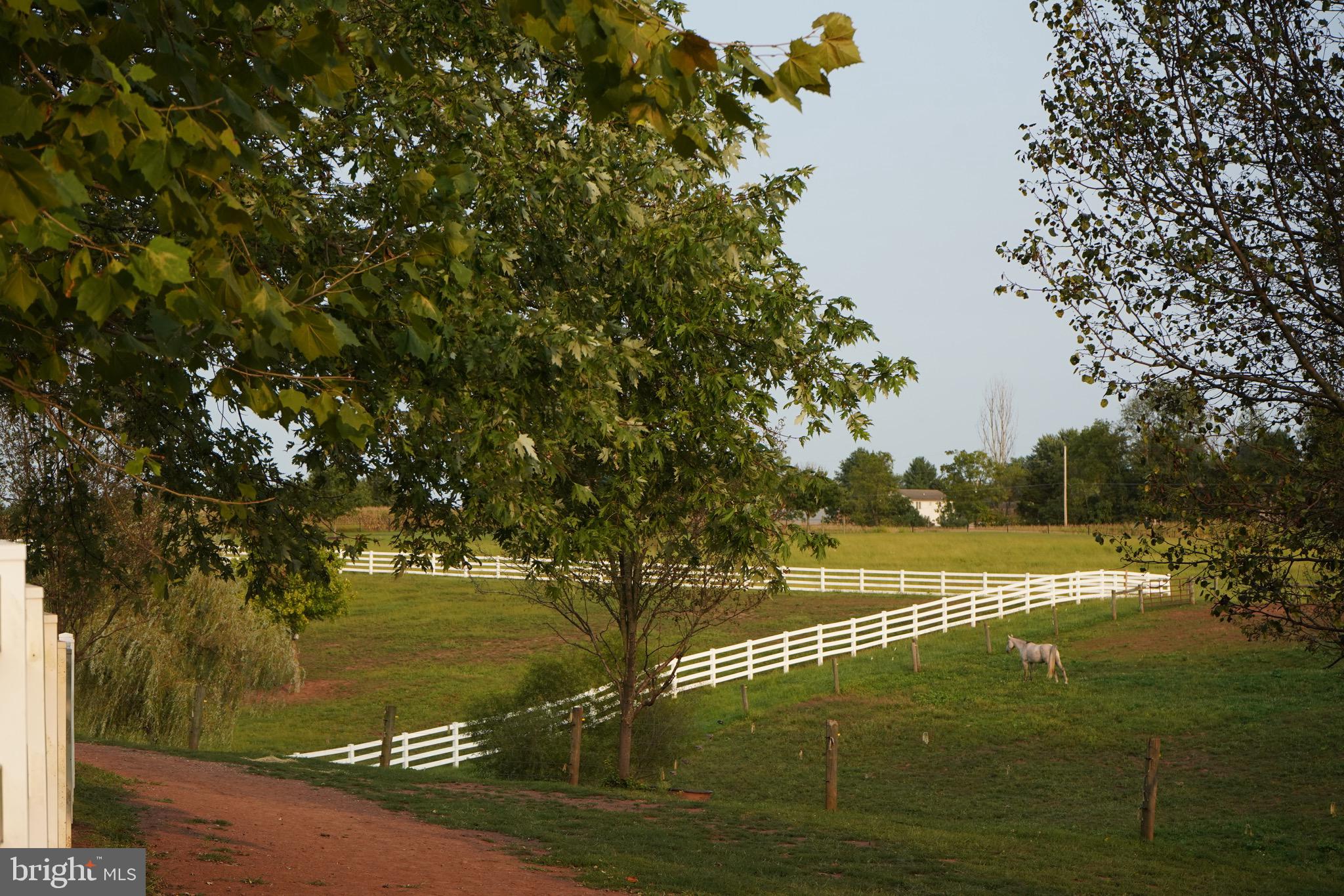 6255 Salem Run Road Dover, PA 17315 - Photo 13 of 68