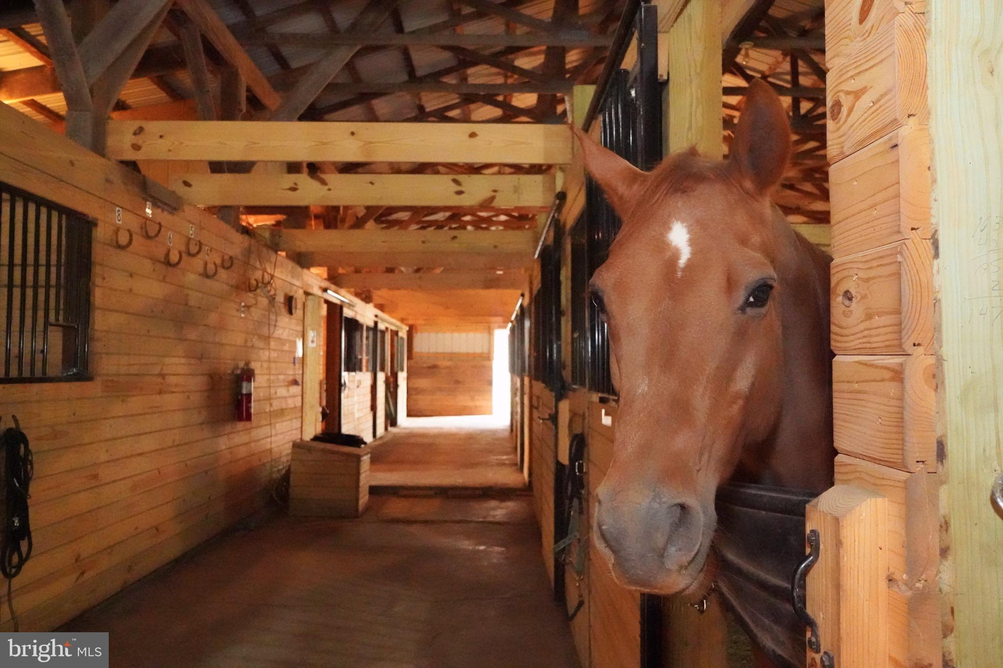 6255 Salem Run Road Dover, PA 17315 - Photo 16 of 68