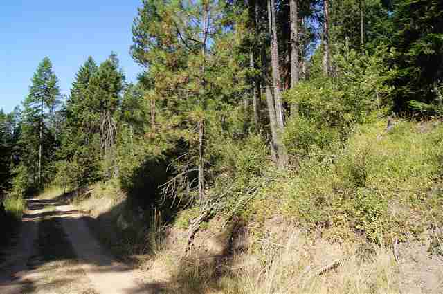 5 Rose Hill Road Springdale, WA 99173 - Photo 1 of 1
