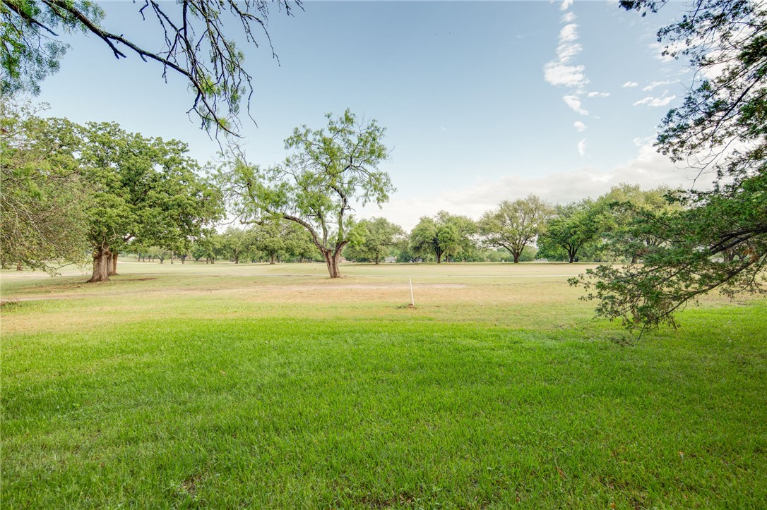2902 Chaparral Circle Bryan, TX 77802 - Photo 25 of 26 a view of yard with green space