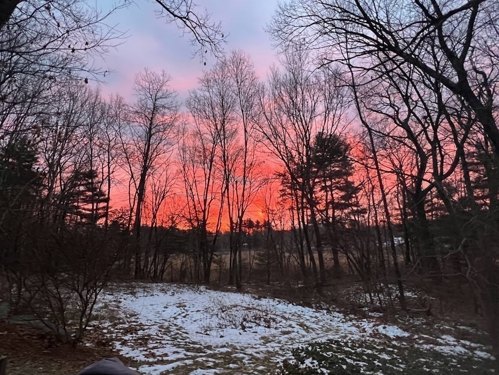 11 Larch Road Acton, MA 01720 - Photo 29 of 29