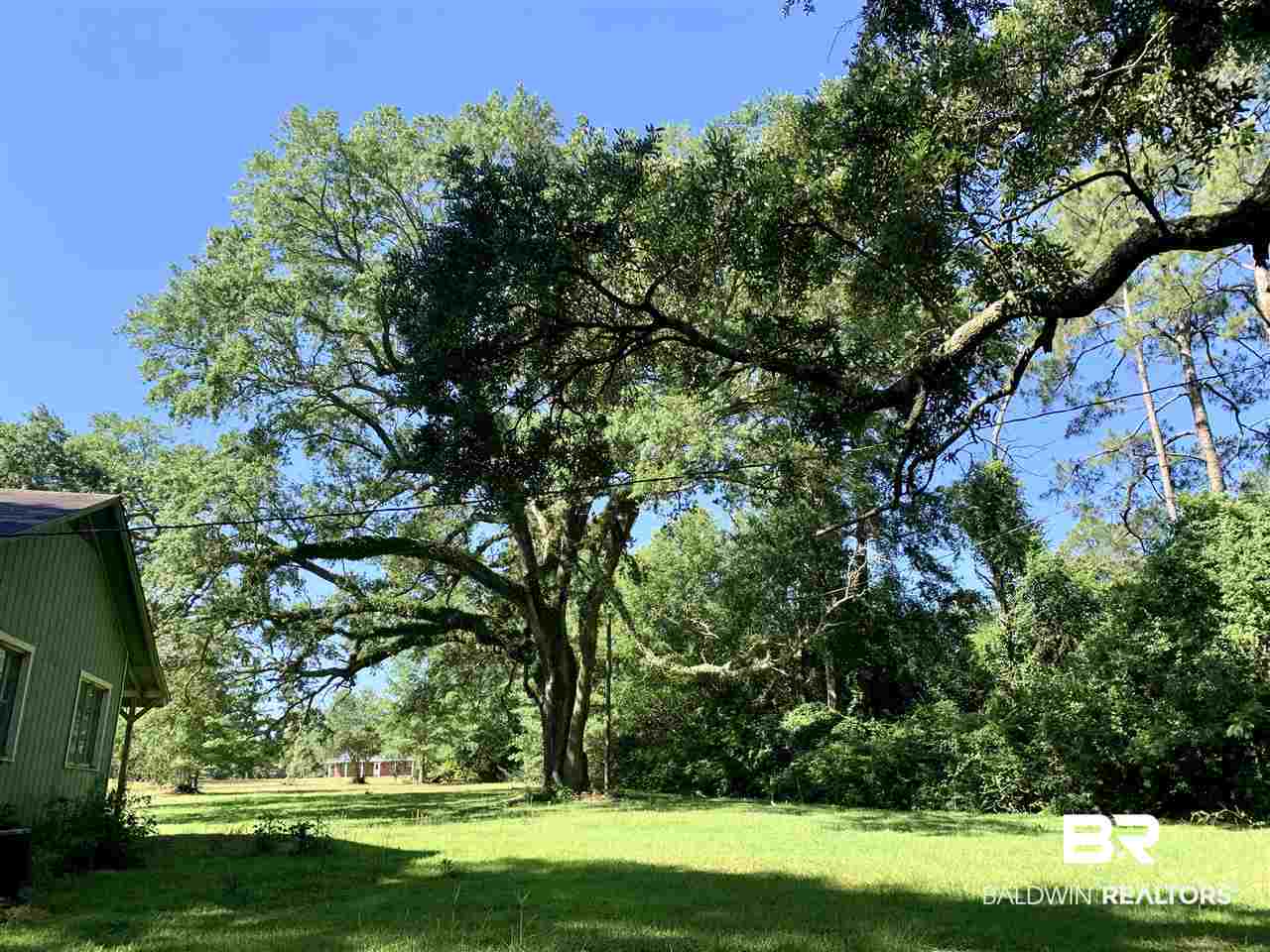 17071 County Road 52 Silverhill, AL 36576 - Photo 35 of 44 Looking toward road