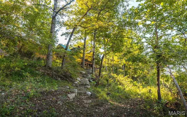 $875,000 | 79 Warren Lane, Pottersville, MO 65790