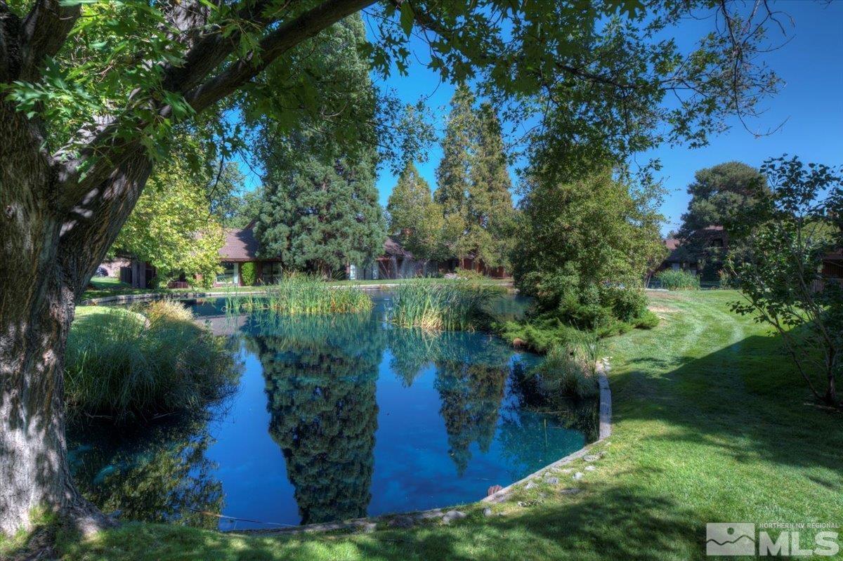 2014 Branch Reno, NV 89509 - Photo 39 of 40 a view of a garden with a lake