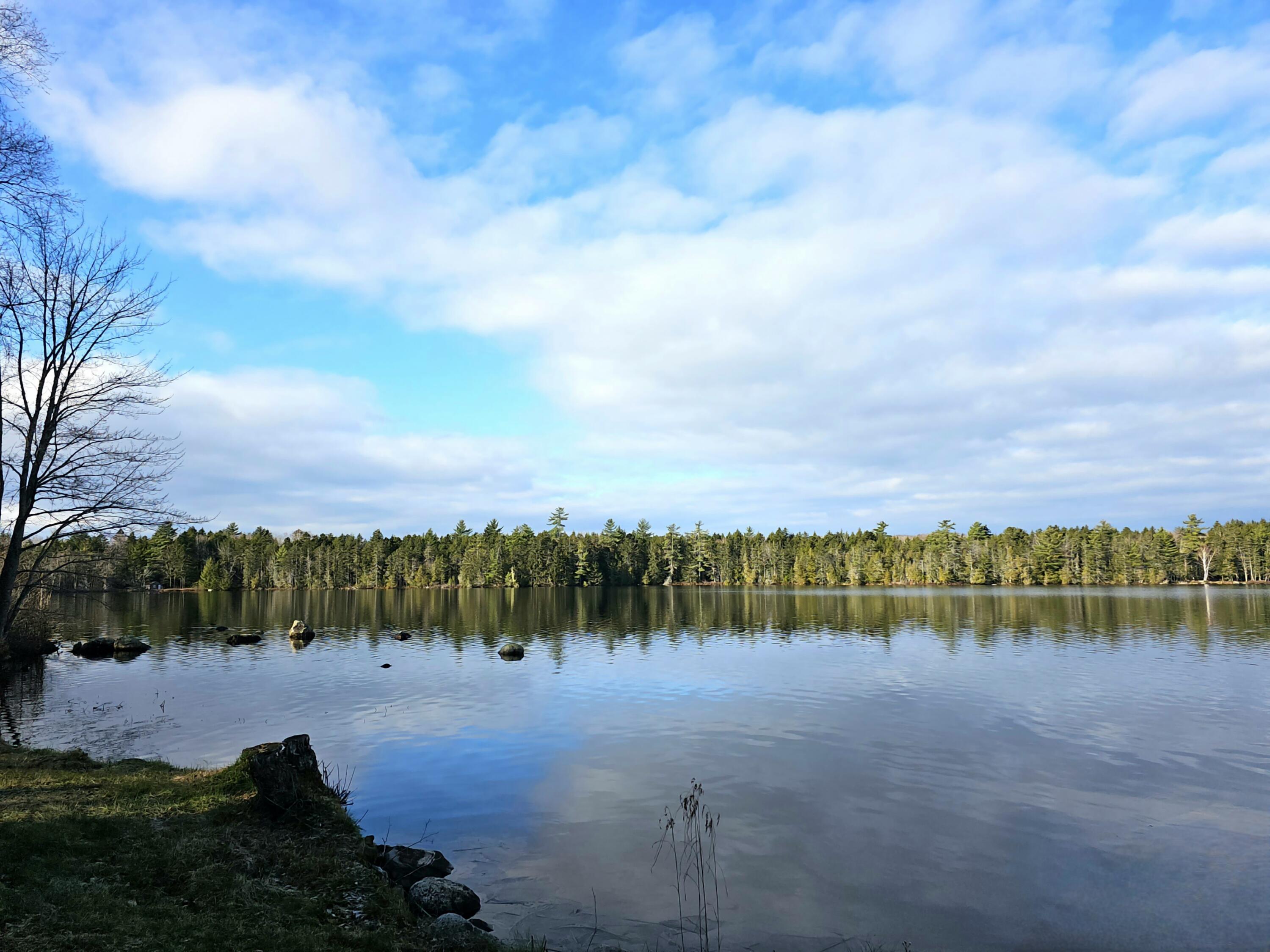 91 West Smith Pond Road Millinocket, ME 04462 - Photo 42 of 45 20231119_092123