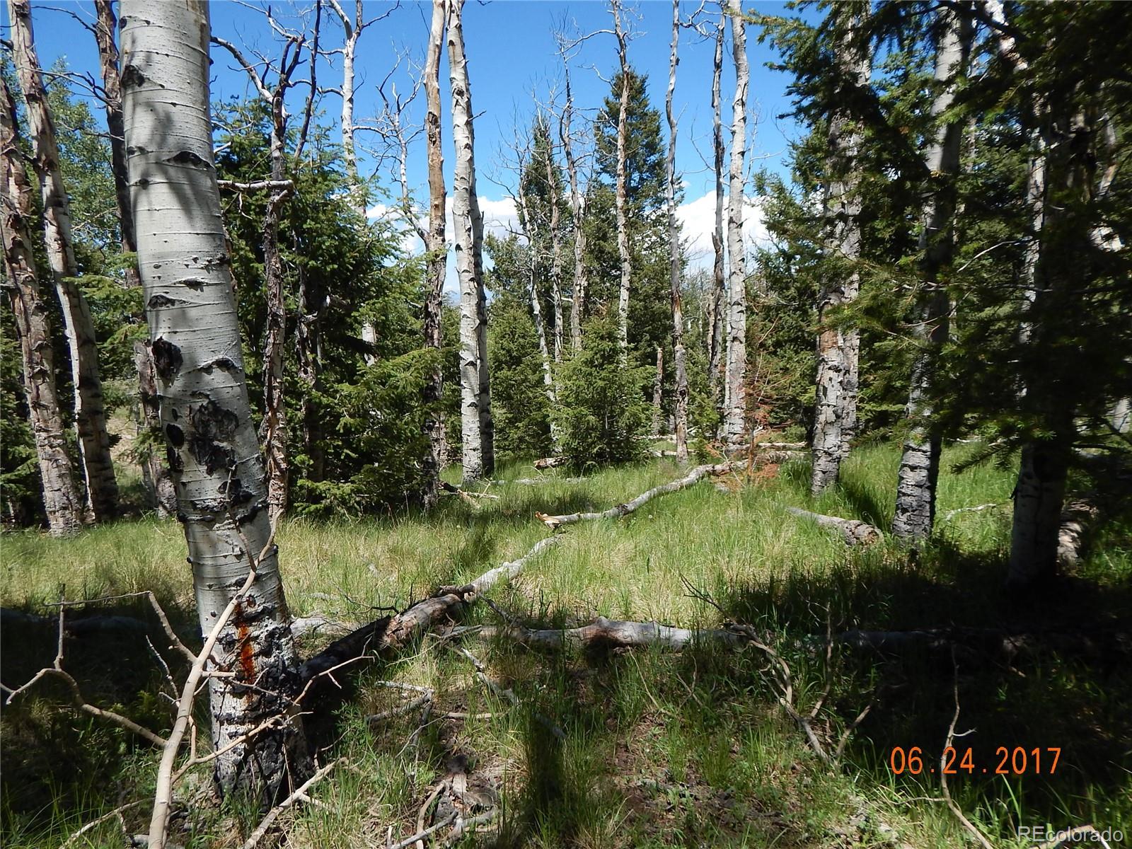 1705 Pitchfork Road Hartsel, CO 80449 - Photo 11 of 24 a view of lake