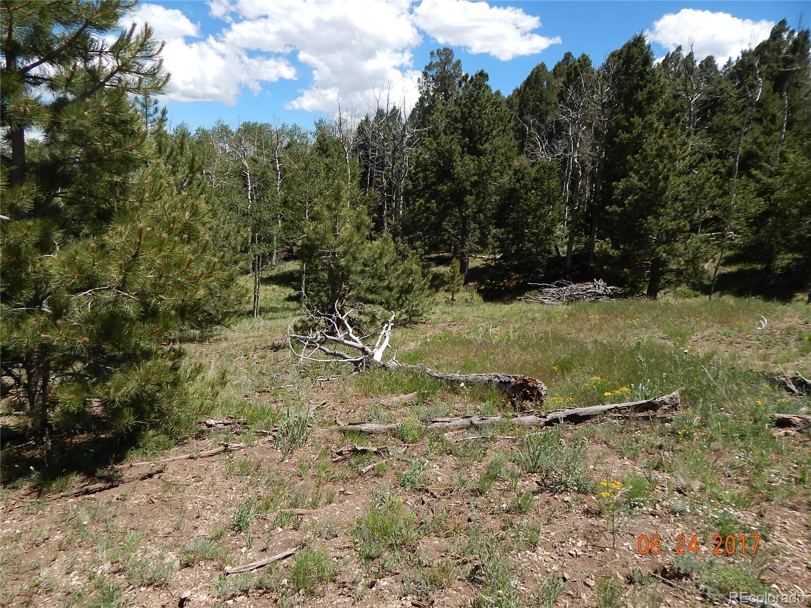 1705 Pitchfork Road Hartsel, CO 80449 - Photo 13 of 24 a view of a tree in a yard