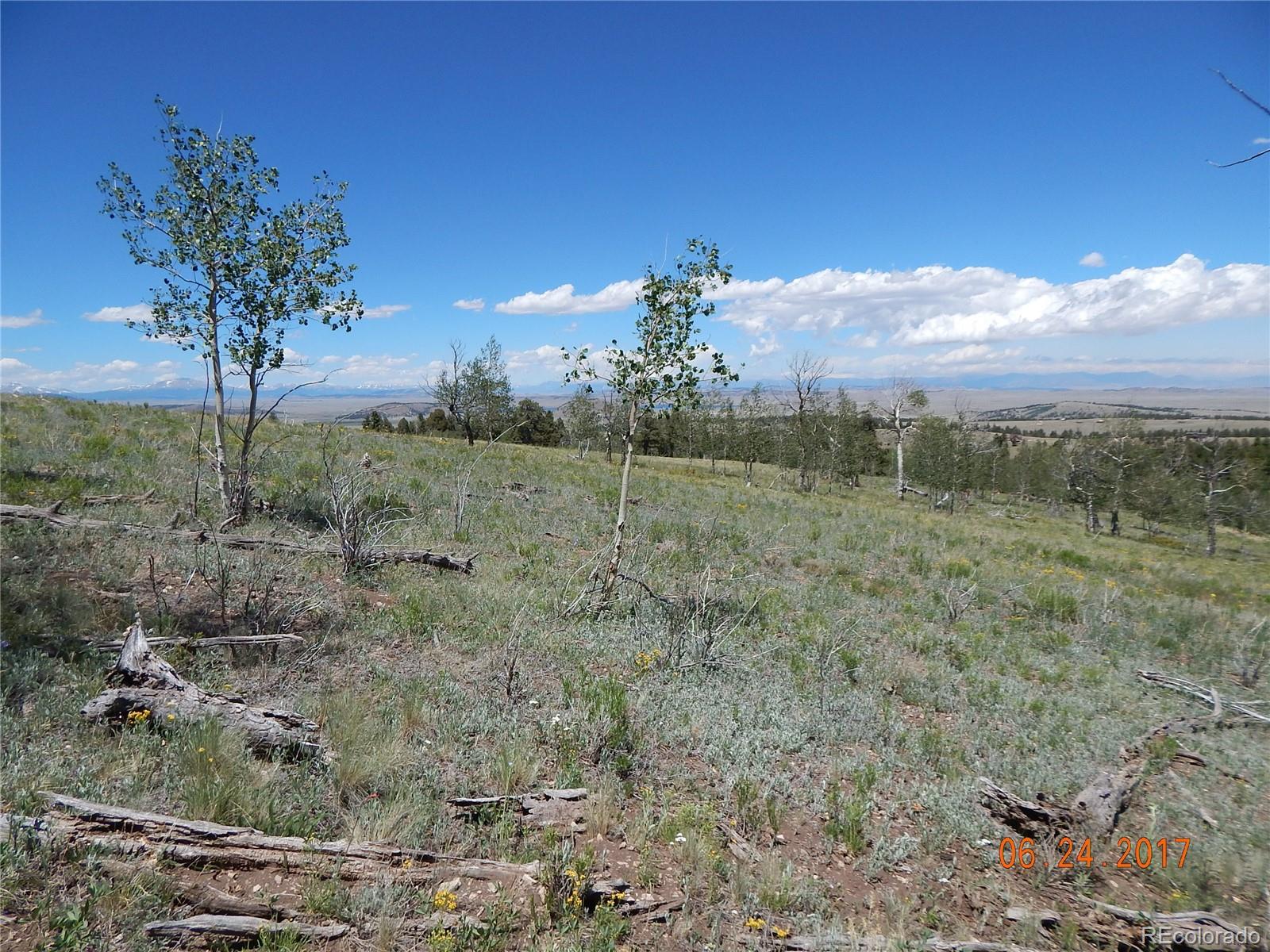 1705 Pitchfork Road Hartsel, CO 80449 - Photo 14 of 24 a view of a field