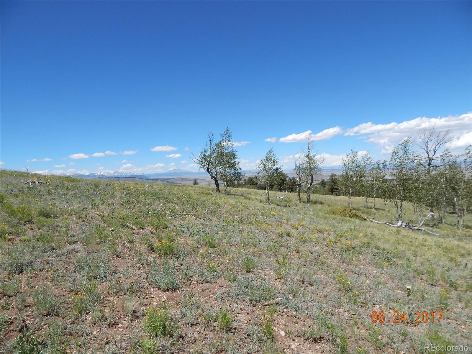 1705 Pitchfork Road Hartsel, CO 80449 - Photo 15 of 24 a view of a field with an trees