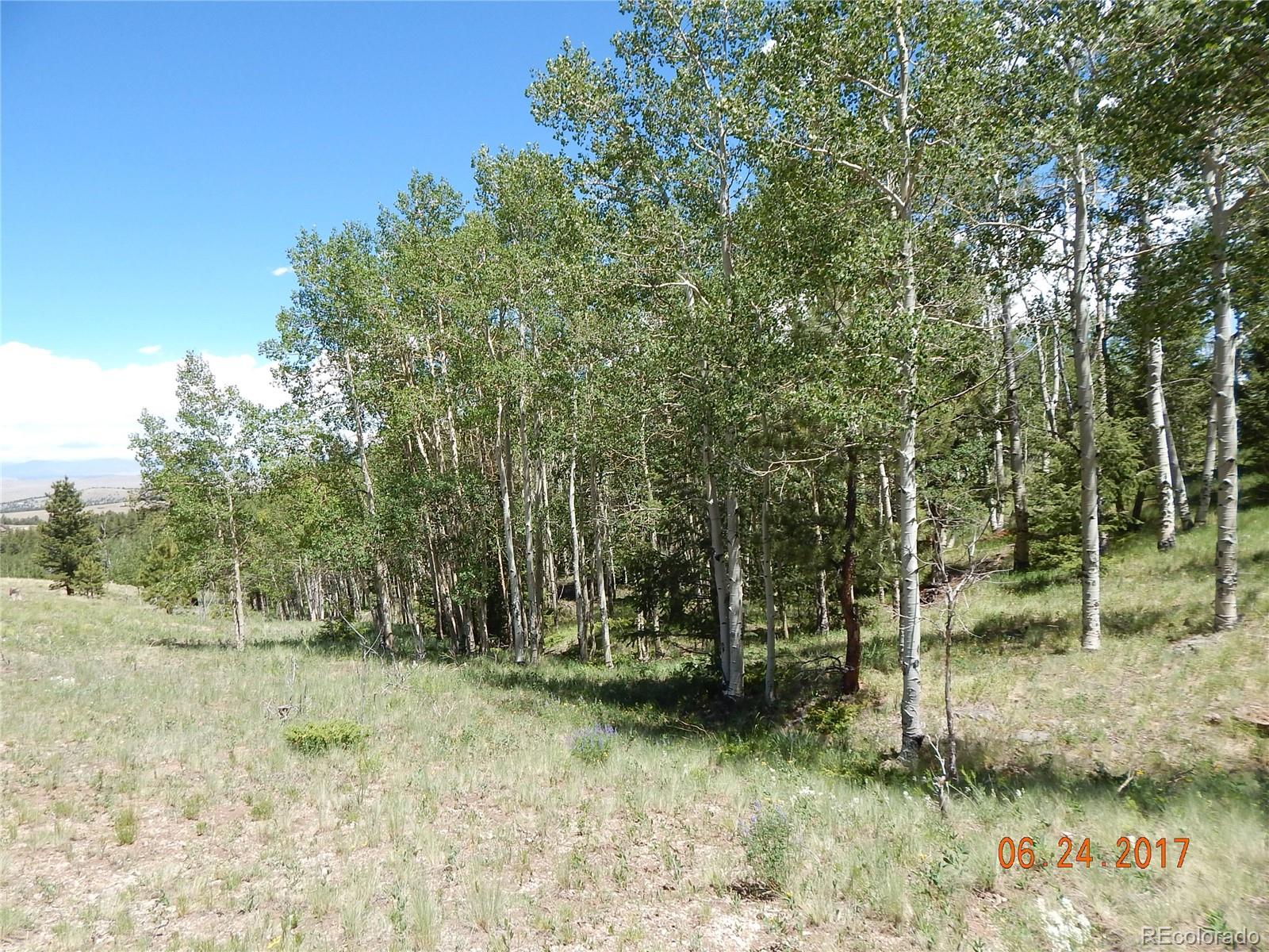 1705 Pitchfork Road Hartsel, CO 80449 - Photo 16 of 24 a view of outdoor space
