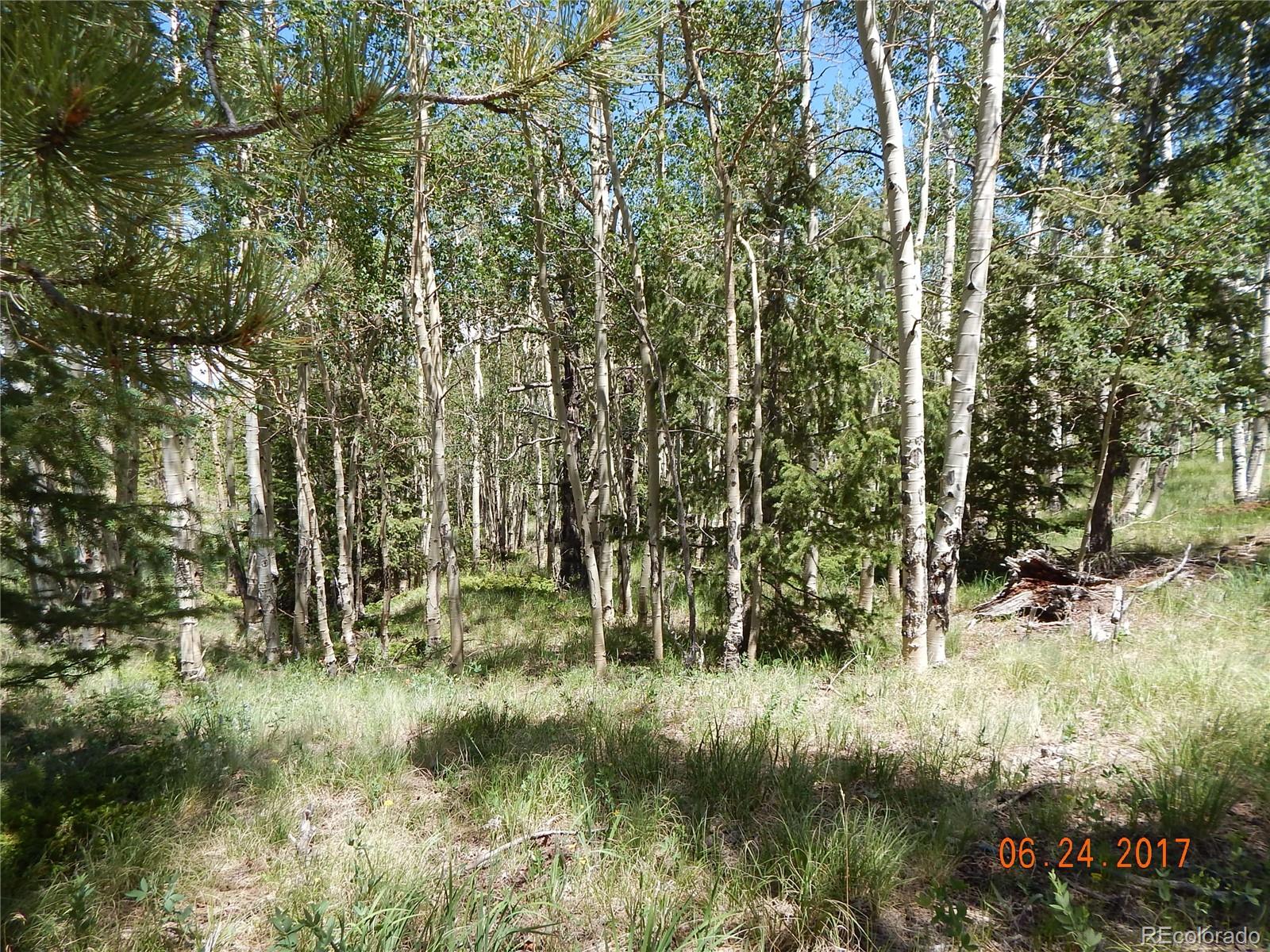 1705 Pitchfork Road Hartsel, CO 80449 - Photo 17 of 24 a view of outdoor space and a yard