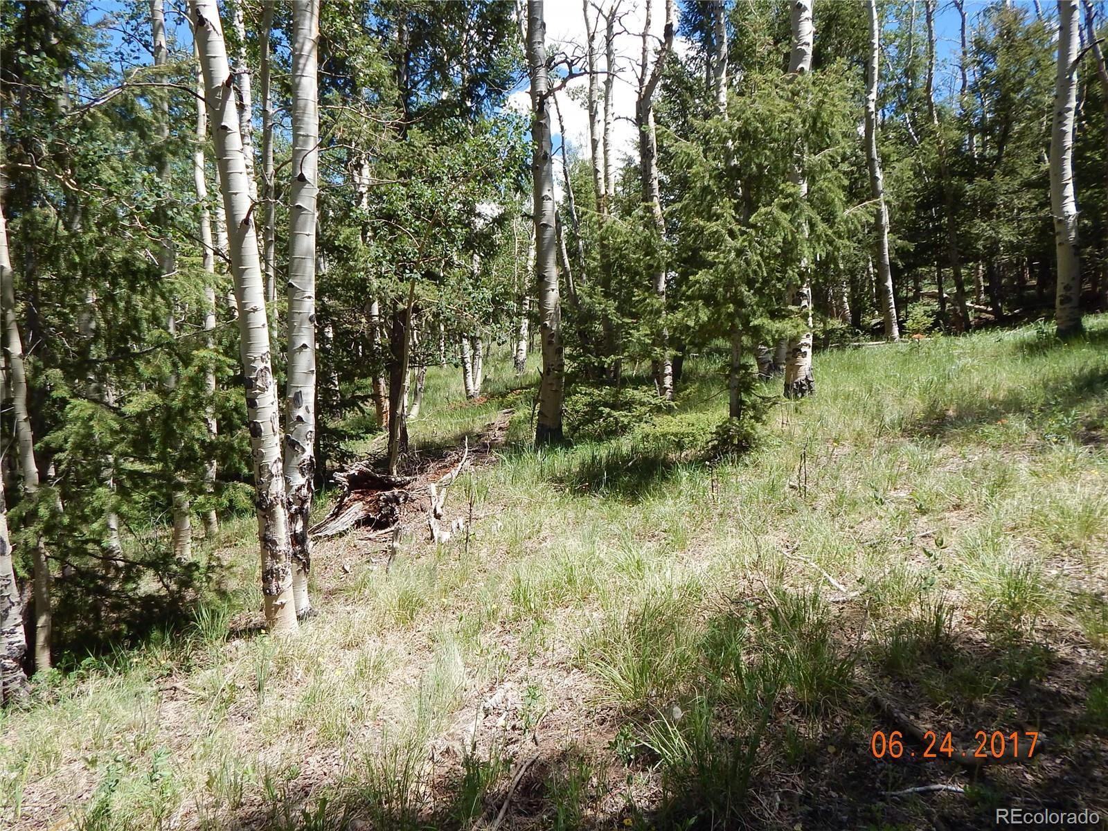 1705 Pitchfork Road Hartsel, CO 80449 - Photo 18 of 24 a view of outdoor space and trees