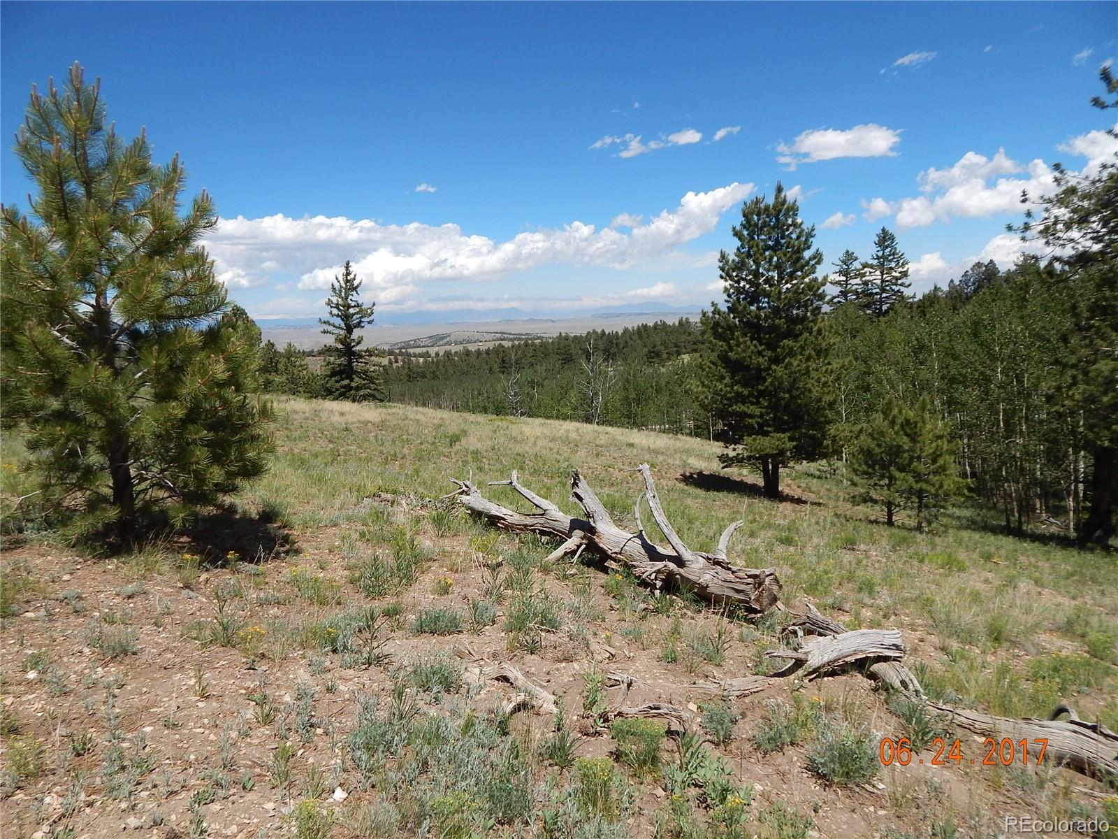 1705 Pitchfork Road Hartsel, CO 80449 - Photo 20 of 24 a view of outdoor space and yard