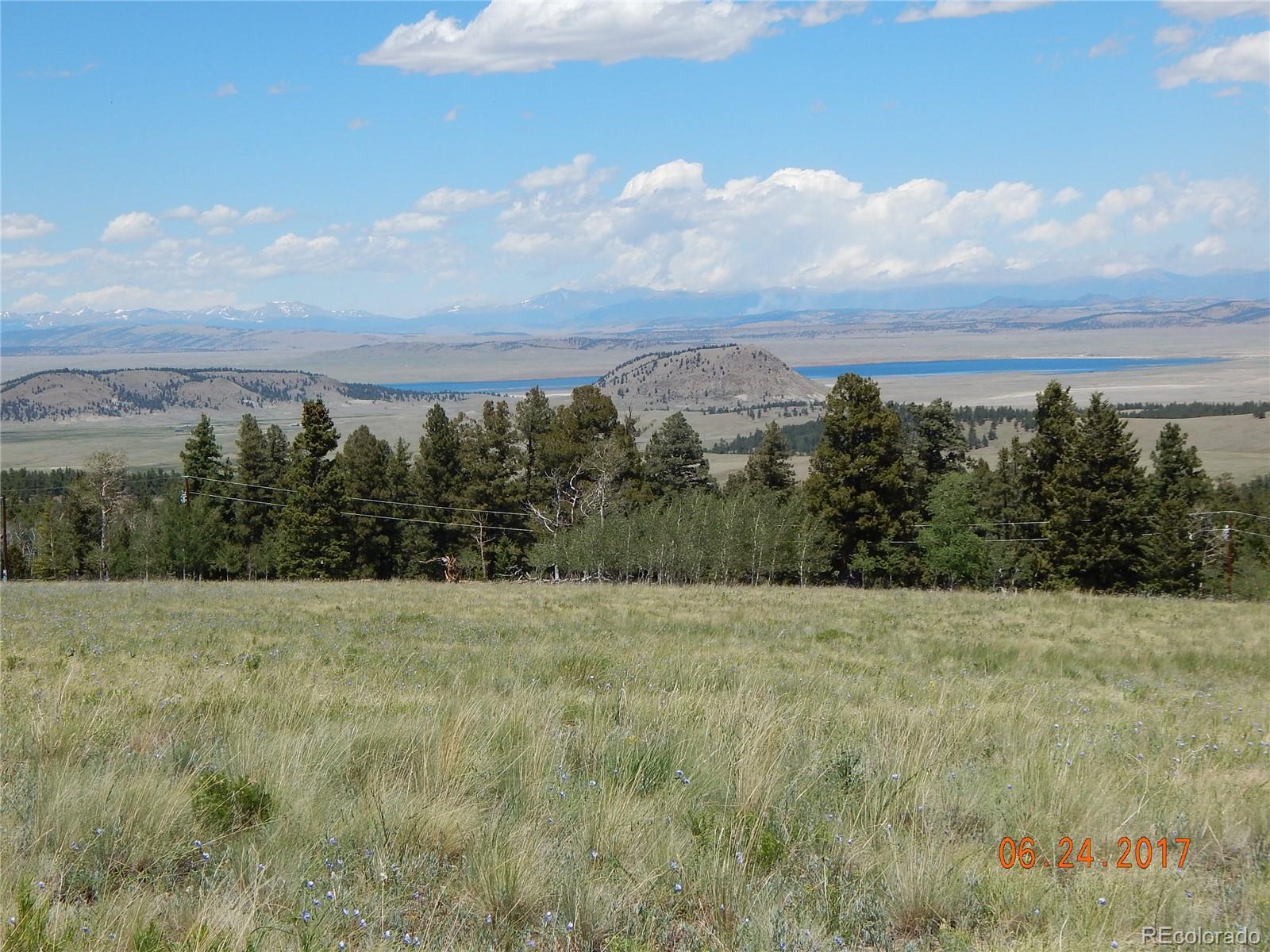 1705 Pitchfork Road Hartsel, CO 80449 - Photo 2 of 24 a view of a field with trees in the background