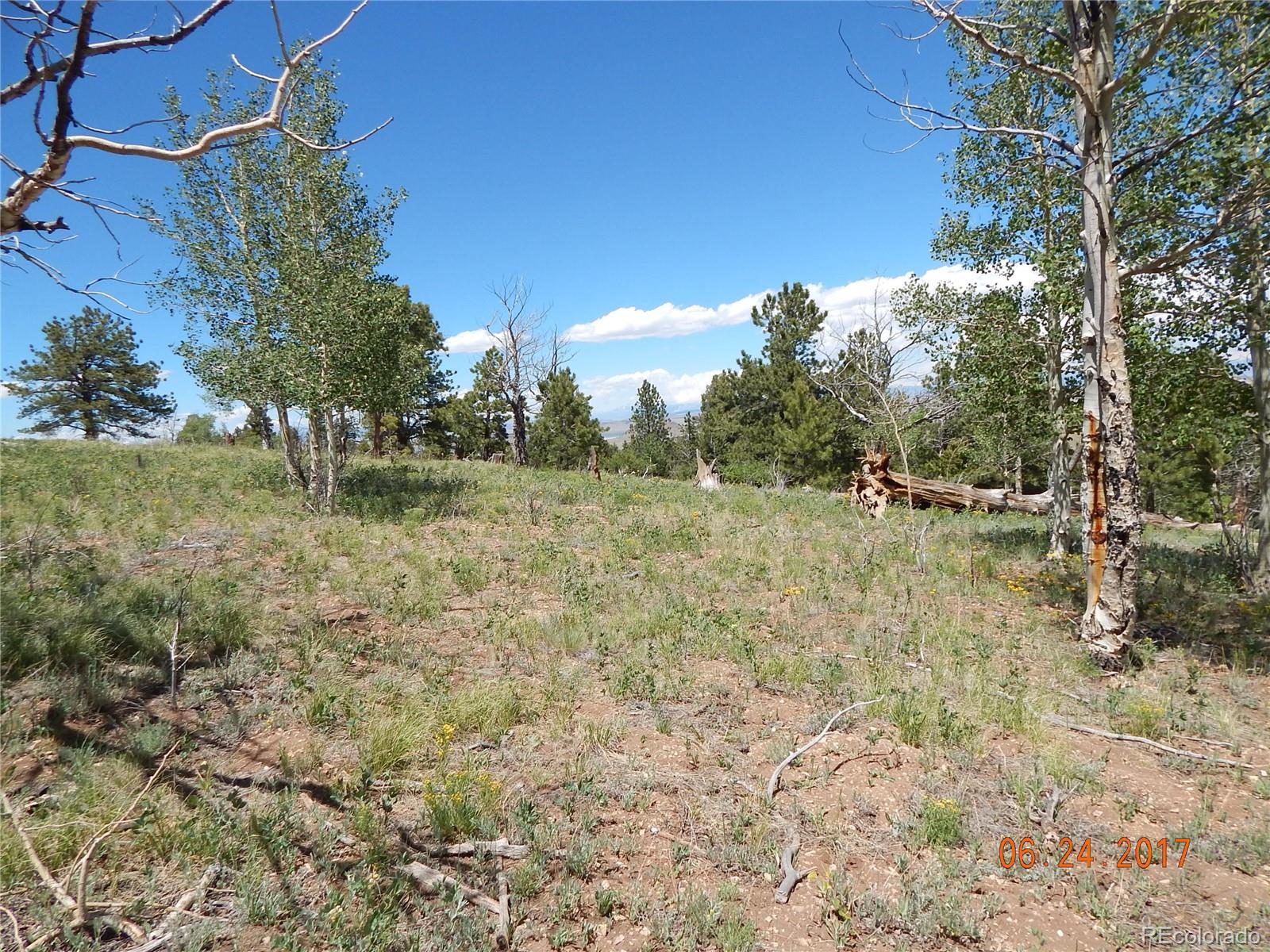 1705 Pitchfork Road Hartsel, CO 80449 - Photo 21 of 24 a view of a field with plants and trees