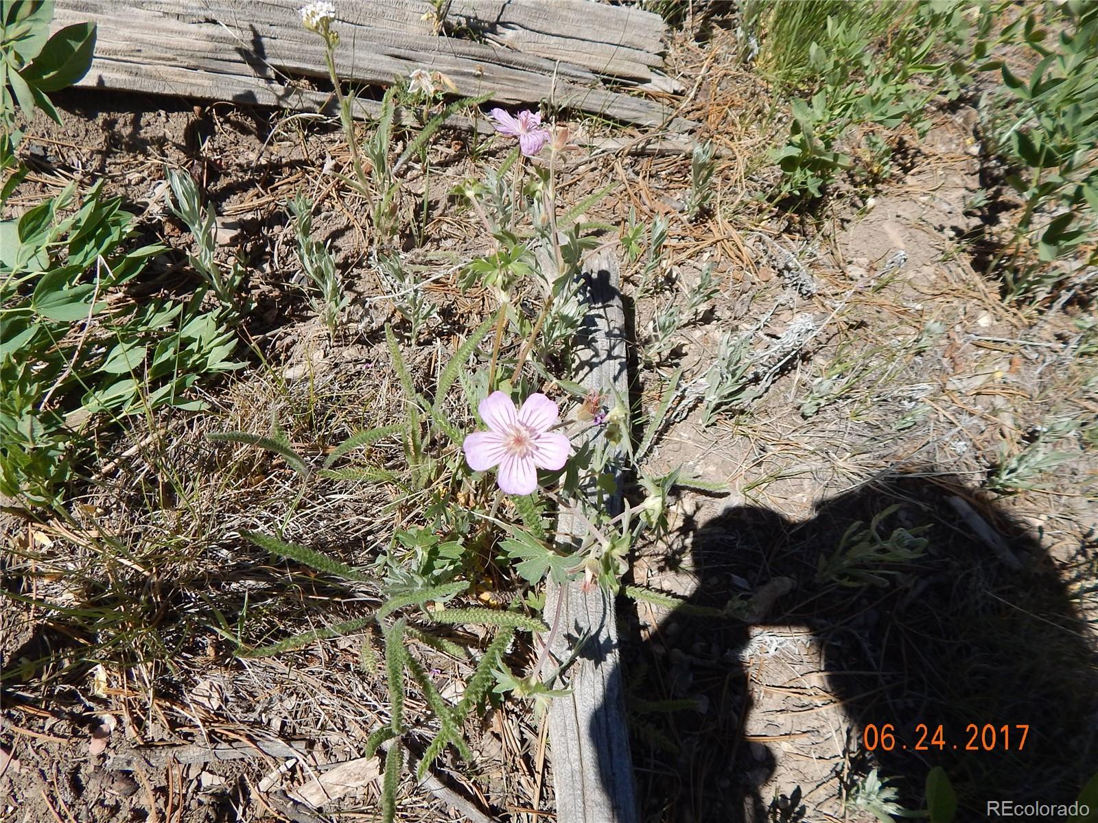 1705 Pitchfork Road Hartsel, CO 80449 - Photo 23 of 24