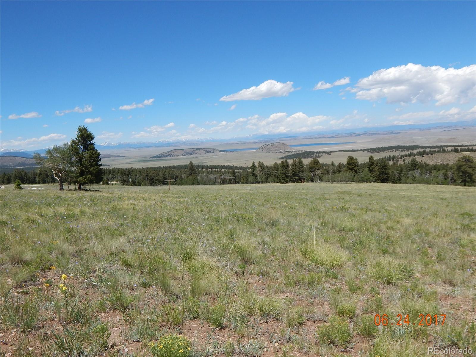 1705 Pitchfork Road Hartsel, CO 80449 - Photo 3 of 24 a view of an outdoor space and a yard