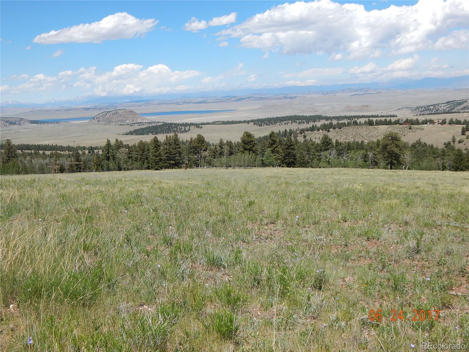 1705 Pitchfork Road Hartsel, CO 80449 - Photo 5 of 24 a view of an outdoor space and a yard