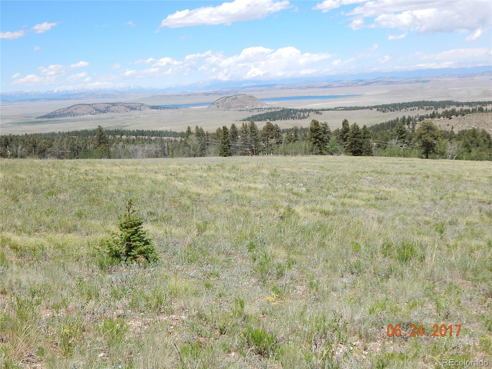 1705 Pitchfork Road Hartsel, CO 80449 - Photo 6 of 24 a view of a field with trees