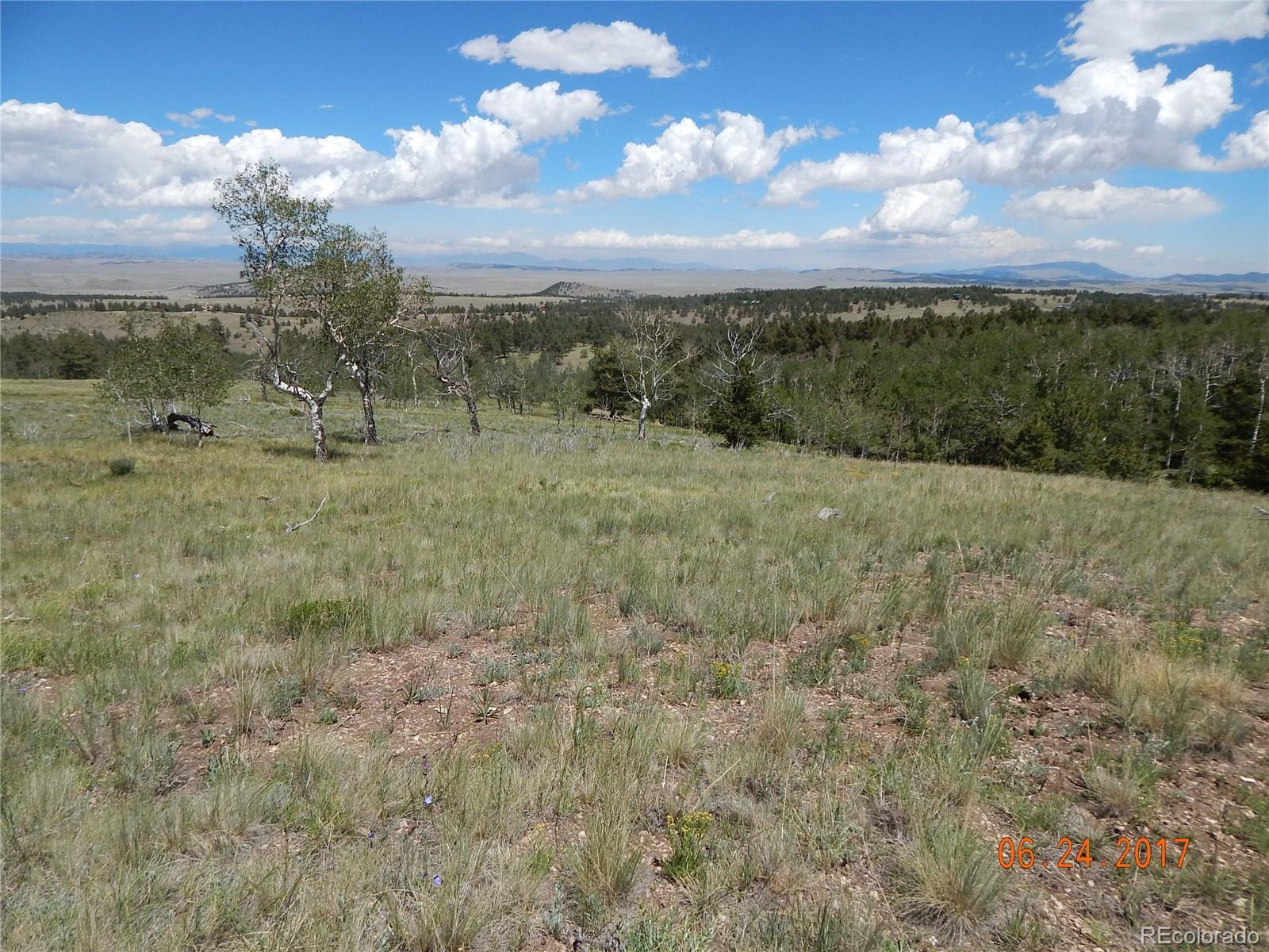1705 Pitchfork Road Hartsel, CO 80449 - Photo 7 of 24 a view of outdoor space and yard