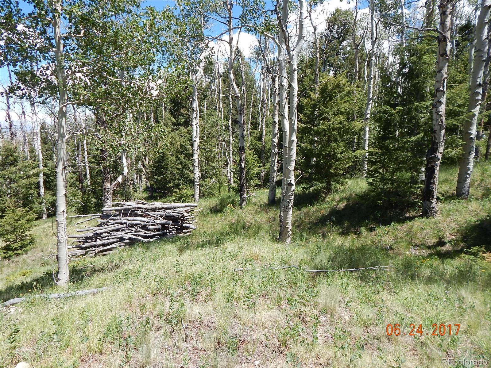1705 Pitchfork Road Hartsel, CO 80449 - Photo 8 of 24 a view of a lush green forest with lawn chairs