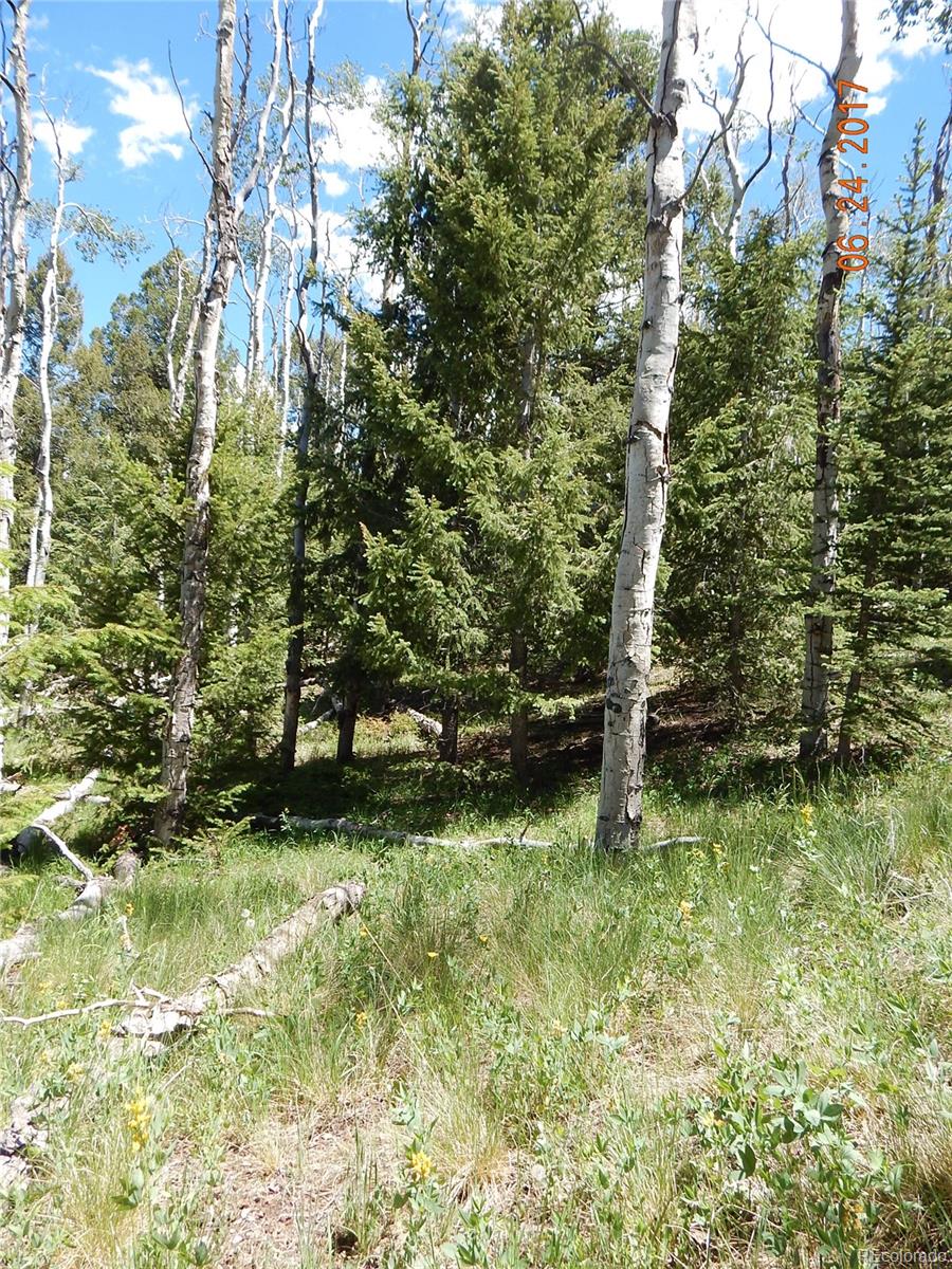 1705 Pitchfork Road Hartsel, CO 80449 - Photo 9 of 24 a view of backyard with green space