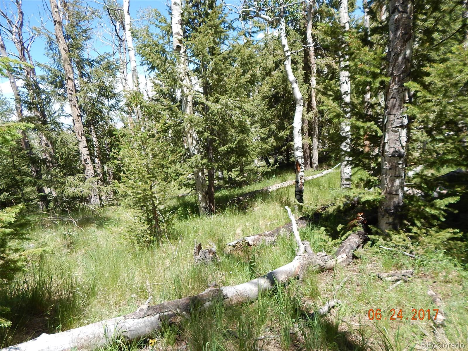 1705 Pitchfork Road Hartsel, CO 80449 - Photo 10 of 24