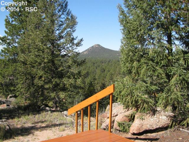 352 Spruce Creek Road Divide, CO 80814 - Photo 11 of 21 Gallery Image 11