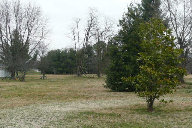 a view of dirt yard with a trees