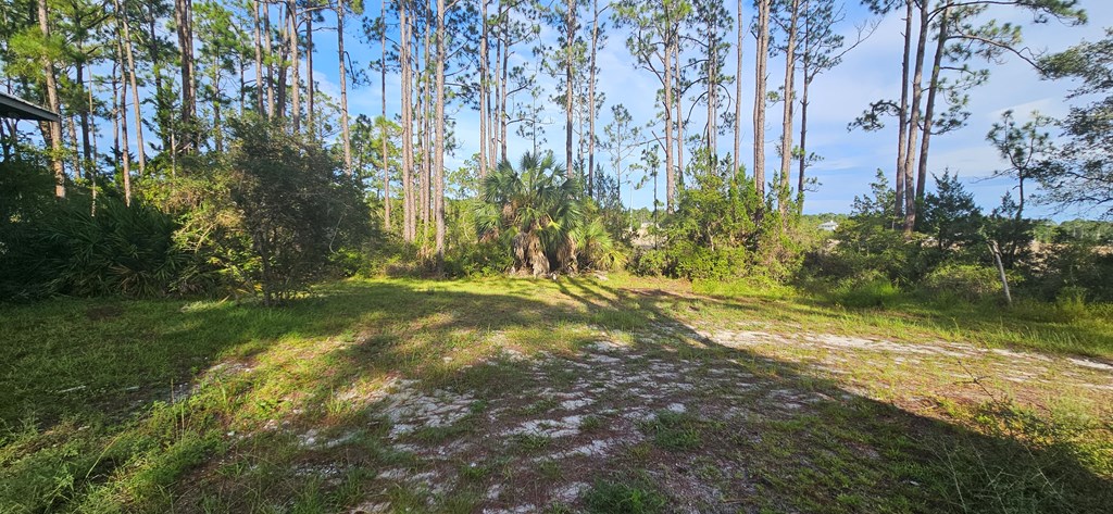612 River Road Carrabelle, FL 32322 - Photo 21 of 27 Gallery Image 21